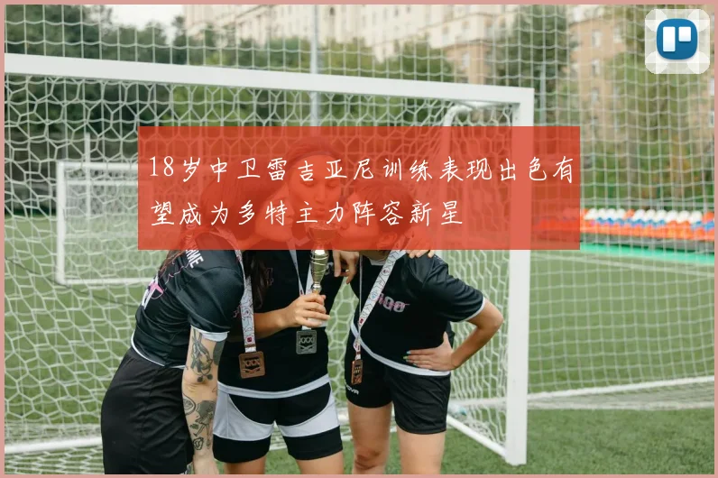18岁中卫雷吉亚尼训练表现出色有望成为多特主力阵容新星