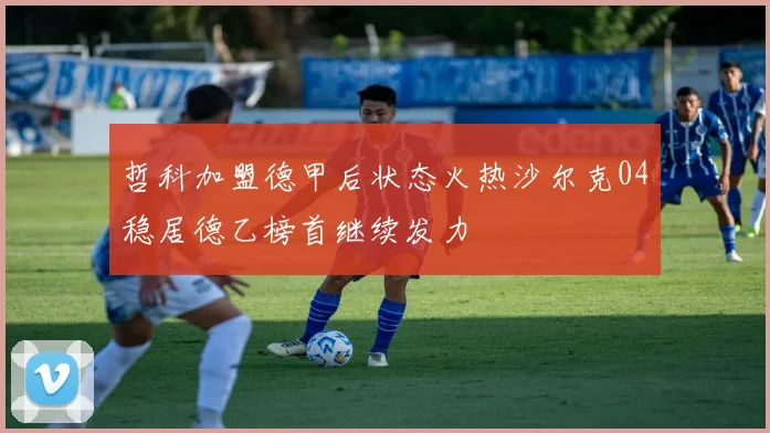 哲科加盟德甲后状态火热沙尔克04稳居德乙榜首继续发力