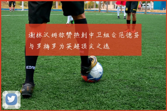 谢林汉姆称赞热刺中卫组合范德芬与罗梅罗为英超顶尖之选