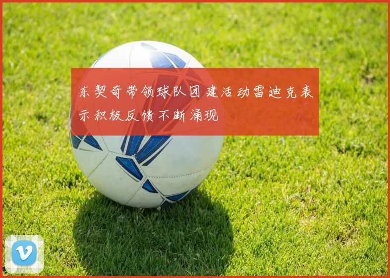 东契奇带领球队团建活动雷迪克表示积极反馈不断涌现