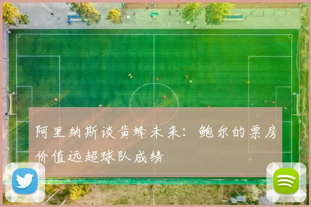 阿里纳斯谈黄蜂未来：鲍尔的票房价值远超球队成绩